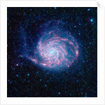 Pinwheel Galaxy by Anonymous