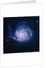 Pinwheel Galaxy by Anonymous