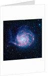 Pinwheel Galaxy by Anonymous