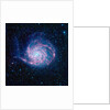 Pinwheel Galaxy by Anonymous
