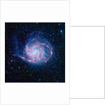 Pinwheel Galaxy by Anonymous