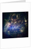 Large Magellanic Cloud by Anonymous