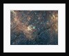 Milky Way Galaxy by Anonymous