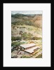 Lipton Tea Drying Building on Plantation in Sri Lanka by Anonymous