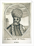 Portrait of Ali Pasha by Anonymous