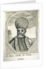 Portrait of Ali Pasha by Anonymous