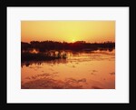 Sunset Over Pond in Lake Woodruff National Wildlife Refuge by Anonymous