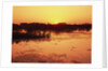 Sunset Over Pond in Lake Woodruff National Wildlife Refuge by Anonymous