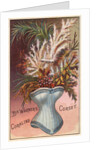 Dr. Warner's Coraline Corset Trade Card by Anonymous