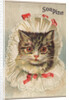 Soapine Trade Card with Kitten in Baby Clothes by Anonymous