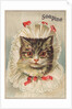 Soapine Trade Card with Kitten in Baby Clothes by Anonymous