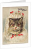 Soapine Trade Card with Kitten in Baby Clothes by Anonymous
