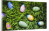 Easter Eggs on Grass by Anonymous