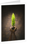 Hands Holding Small Tree by Anonymous
