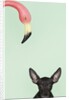 Chihuahua underneath a pink flamingo by Anonymous