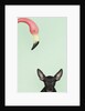 Chihuahua underneath a pink flamingo by Anonymous