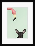Chihuahua underneath a pink flamingo by Anonymous