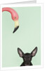 Chihuahua underneath a pink flamingo by Anonymous