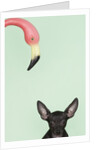 Chihuahua underneath a pink flamingo by Anonymous