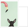 Chihuahua underneath a pink flamingo by Anonymous