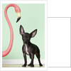 Chihuahua next to pink flamingo by Anonymous