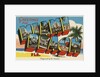 Greetings from Miami Beach Postcard by Anonymous