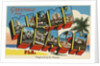 Greetings from Miami Beach Postcard by Anonymous