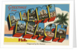 Greetings from Miami Beach Postcard by Anonymous