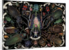 Die-Cut Scrap with Variety of Beetles by Anonymous