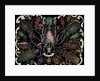 Die-Cut Scrap with Variety of Beetles by Anonymous