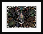 Die-Cut Scrap with Variety of Beetles by Anonymous