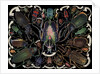 Die-Cut Scrap with Variety of Beetles by Anonymous
