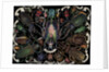 Die-Cut Scrap with Variety of Beetles by Anonymous