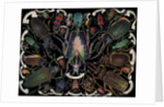 Die-Cut Scrap with Variety of Beetles by Anonymous