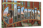Greetings from California Postcard by Anonymous