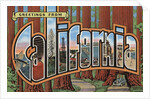 Greetings from California Postcard by Anonymous