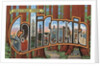 Greetings from California Postcard by Anonymous