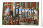 Greetings from California Postcard by Anonymous