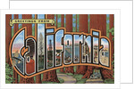 Greetings from California Postcard by Anonymous