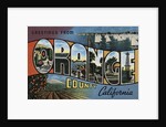 Greetings from Orange County California Postcard by Anonymous