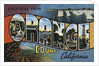 Greetings from Orange County California Postcard by Anonymous
