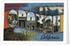 Greetings from Orange County California Postcard by Anonymous