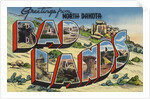 Greetings from North Dakota Bad Lands Postcard by Anonymous