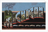 Greetings from Michigan Postcard by Anonymous