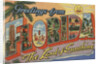 Greetings from Florida Postcard by Anonymous