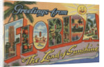 Greetings from Florida Postcard by Anonymous