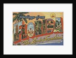 Greetings from Florida Postcard by Anonymous