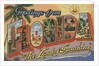 Greetings from Florida Postcard by Anonymous