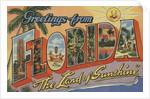 Greetings from Florida Postcard by Anonymous