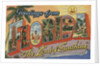 Greetings from Florida Postcard by Anonymous